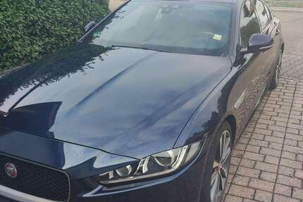 Jaguar XE Gebrauchtwagen
