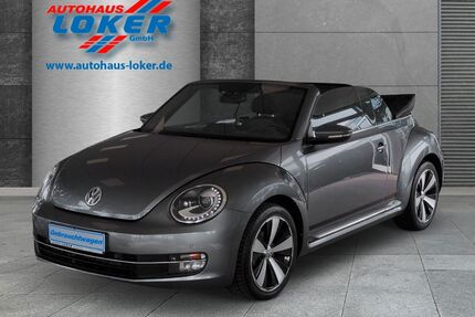 VW Beetle Gebrauchtwagen
