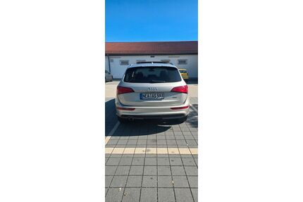 Audi Q5 Gebrauchtwagen