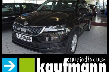 Skoda Karoq Gebrauchtwagen