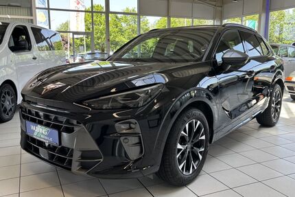 Cupra Terramar Gebrauchtwagen