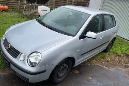 VW Polo Gebrauchtwagen