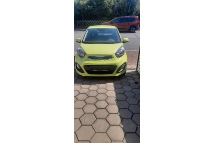 Kia Picanto Gebrauchtwagen