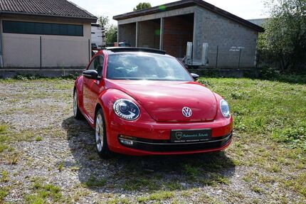 VW Beetle Gebrauchtwagen