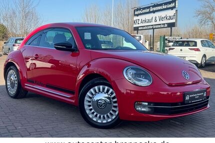 VW Beetle Gebrauchtwagen
