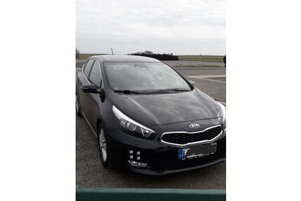 Kia ceed / Ceed Gebrauchtwagen