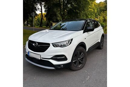 Opel Grandland (X) Gebrauchtwagen