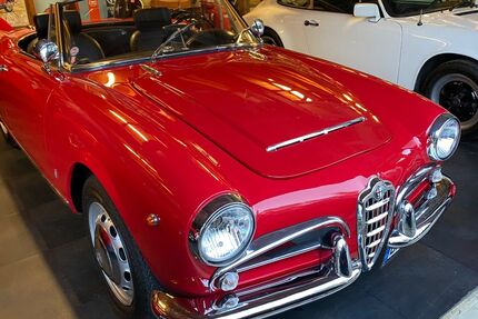 Alfa Romeo Giulia Gebrauchtwagen