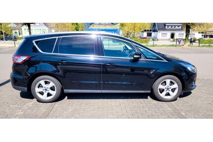 Ford S-Max Gebrauchtwagen