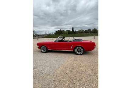 Ford Mustang Gebrauchtwagen