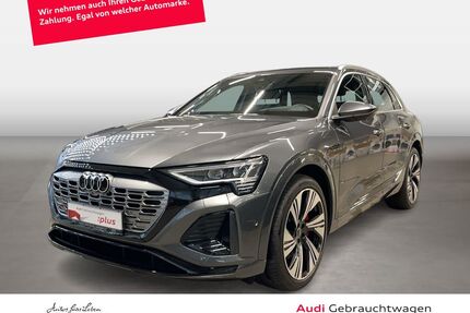 Audi Q8 e-tron Gebrauchtwagen
