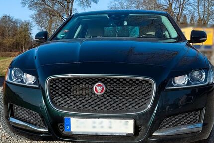 Jaguar XF Gebrauchtwagen