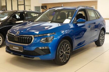 Skoda Kamiq Gebrauchtwagen