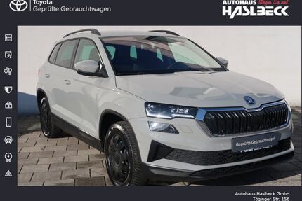 Skoda Karoq Gebrauchtwagen
