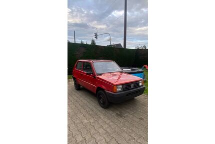 Fiat Panda Gebrauchtwagen