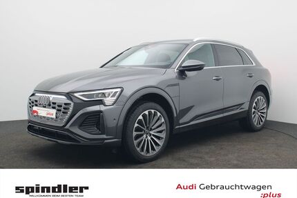 Audi Q8 e-tron Gebrauchtwagen