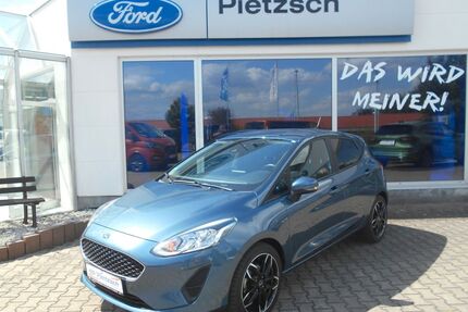 Ford Fiesta Gebrauchtwagen