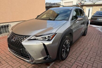 Lexus UX Gebrauchtwagen