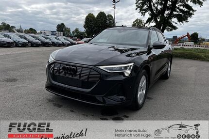Audi e-tron Gebrauchtwagen