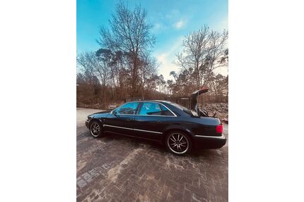 Audi S8 Gebrauchtwagen