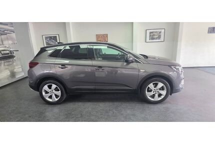 Opel Grandland (X) Gebrauchtwagen