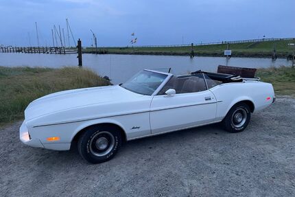 Ford Mustang Gebrauchtwagen