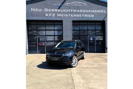 Skoda Karoq Gebrauchtwagen