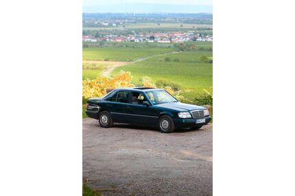 Mercedes-Benz E 220 Gebrauchtwagen