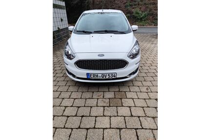 Ford Ka/Ka+ Gebrauchtwagen