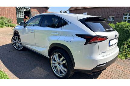 Lexus NX 300 Gebrauchtwagen