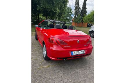 VW 307 