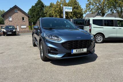 Ford Kuga Gebrauchtwagen