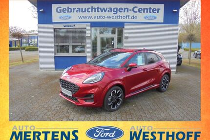 Ford Puma Gebrauchtwagen