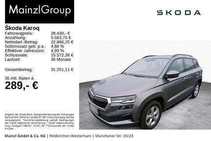 Skoda Karoq Gebrauchtwagen