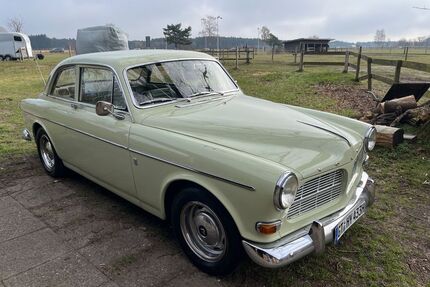 Volvo Amazon Gebrauchtwagen