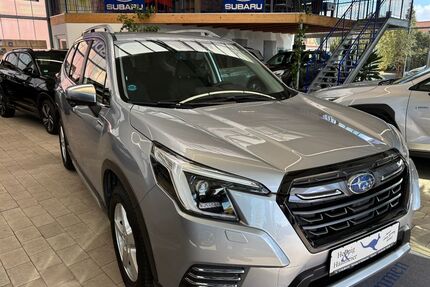 Subaru Forester Gebrauchtwagen