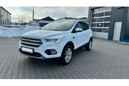 Ford Kuga Gebrauchtwagen