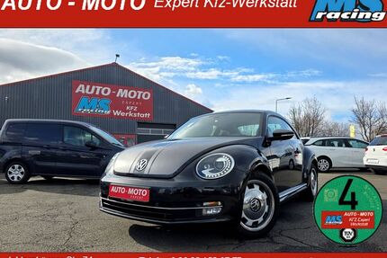 VW Beetle Gebrauchtwagen