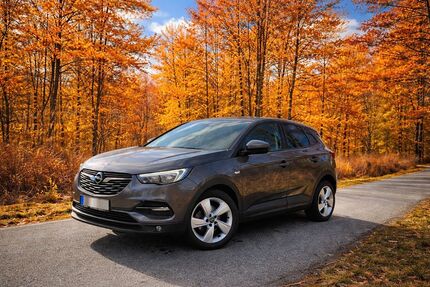 Opel Grandland (X) Gebrauchtwagen