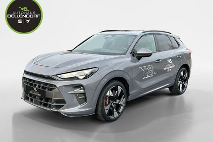 Cupra Terramar Gebrauchtwagen