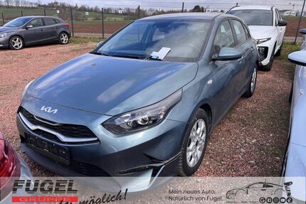 Kia ceed / Ceed Gebrauchtwagen