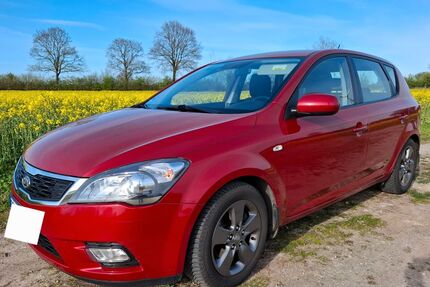 Kia ceed / Ceed Gebrauchtwagen