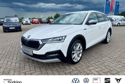 Skoda Octavia Gebrauchtwagen