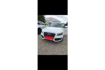 Audi Q5 Gebrauchtwagen