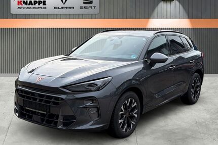 Cupra Terramar Gebrauchtwagen