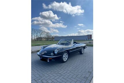 Alfa Romeo Spider Gebrauchtwagen