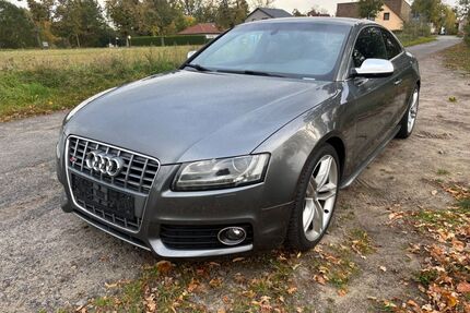 Audi S5 Gebrauchtwagen