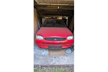 Ford Escort Gebrauchtwagen