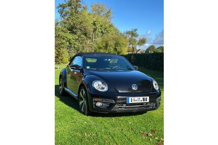 VW Beetle Gebrauchtwagen