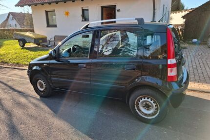 Fiat Panda Gebrauchtwagen